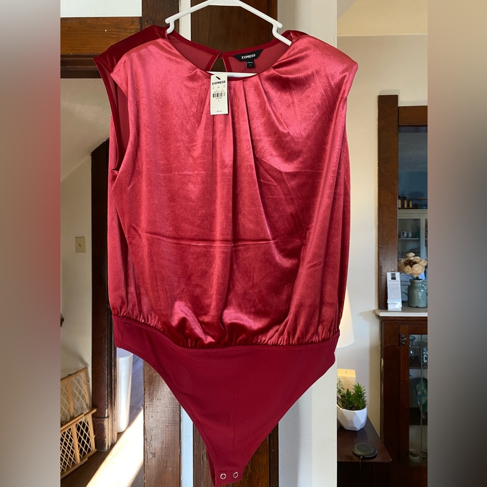 Velvet bodysuit